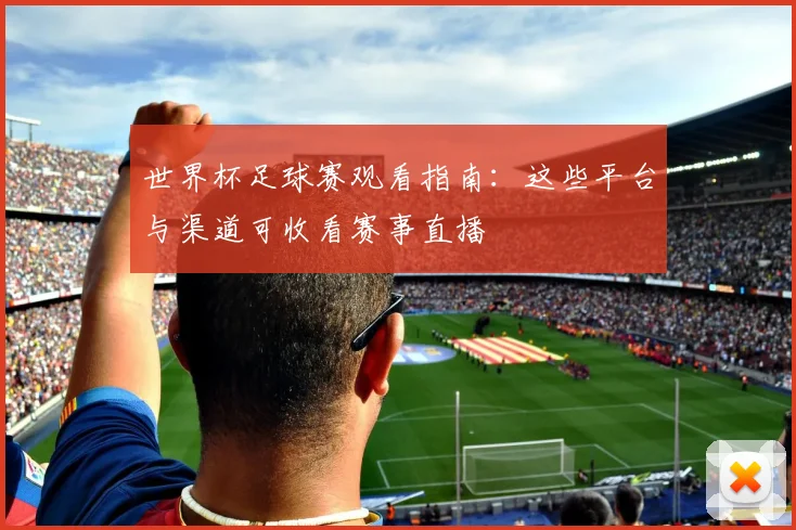 世界杯足球赛观看指南：这些平台与渠道可收看赛事直播