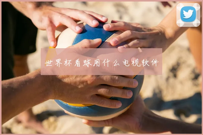 世界杯看球用什么电视软件