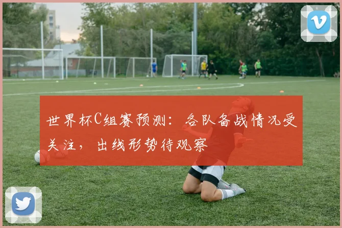 世界杯C组赛预测：各队备战情况受关注，出线形势待观察
