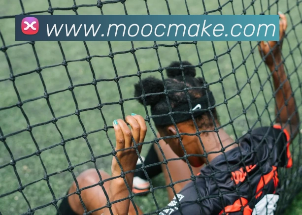 世界杯官网登录app服务体系